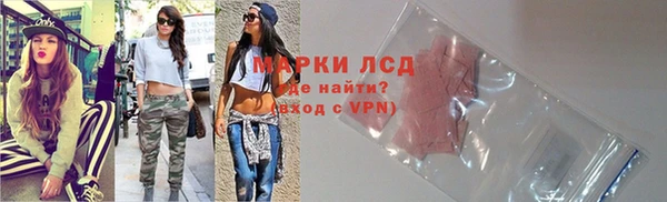 крисы Алзамай