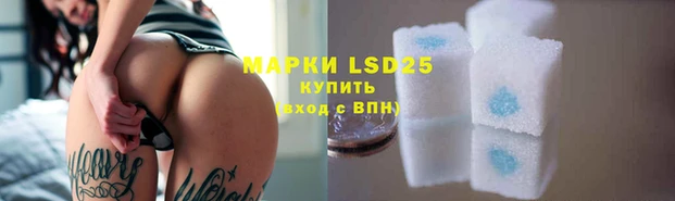 крисы Алзамай
